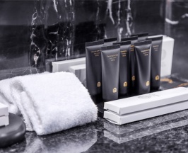 Премиум с двумя раздельными кроватями в Soluxe Hotel Moscow
