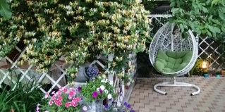 Ейск: Коттедж Гостевой дом