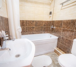 Стандарт в Александр Hotel