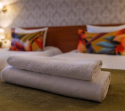 Двухместный комфорт (2 раздельные кровати) в Попов