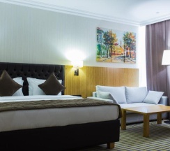 Полулюкс в Aidana Plaza Hotel