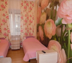 Двухместный номер Economy 2 отдельные кровати в Бон-Аппарт-Ирэна