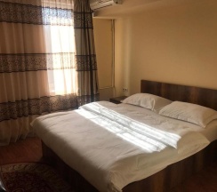 Двухместный номер Standard двуспальная кровать в Altai Business Hotel