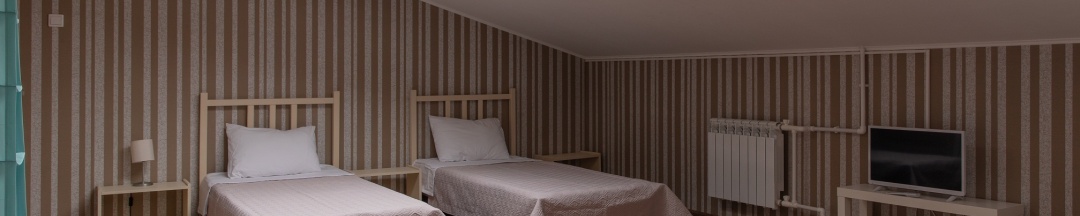 Четырехместный однокомнатный номер "Стандарт" в мансарде в Panfilof