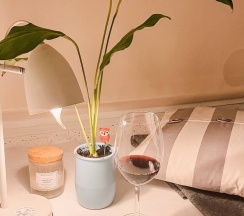 Двухместный номер с двуспальной кроватью в Сова