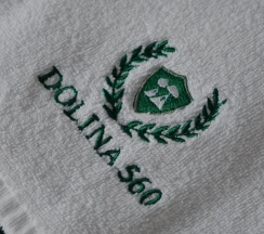 Коттедж с видом на горы в Dolina 560