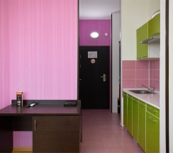 Стандарт семейный ПЛЮС с балконом в Диса