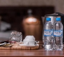 Одноместный номер Standard в Отель Michelin