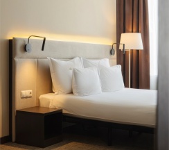 Business Double в Gorskiy city hotel