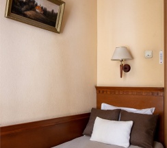 Одноместный номер Стандарт в Голден отель