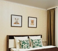 1-комнатные апартаменты стандарт в Две Подушки