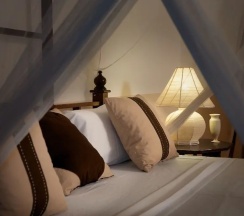 Трёхместный номер Standard с видом на сад в Barracuda Inn Resort