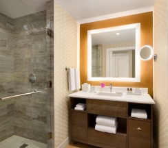 Двухместный люкс c 1 комнатой (двуспальная кровать) в Fairmont Austin