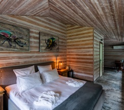 Мансарда №10 в Busel park hotel