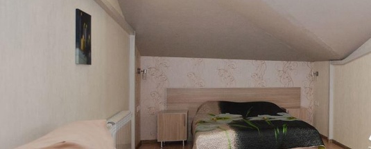 2-местный номер стандарт (с завтраком, мансарда) в Александрия