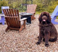 Лавандовый дом в А у реки