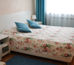 Двухместный номер Standard двуспальная кровать в Подсолнухи