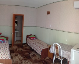Двухместный номер с 1 двуспальной или 2 односпальными кроватями в Ангелина