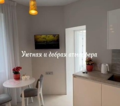 1-комнатные апартаменты студия Тургенева 10\2 в ApartRent