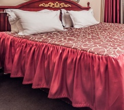 Двухместный номер Deluxe Superior двуспальная кровать в Almaty