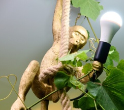 Стандарт в Сова