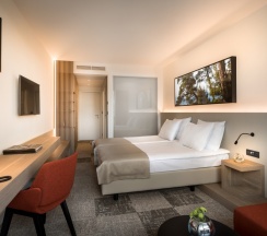 Двухместный номер с дополнительной кроватью Standard двуспальная кровать в Eden Hotel by Maistra Collection
