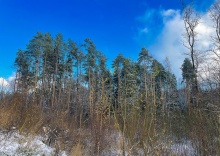 Квартира в Апартаменты на Ул. Кутузовская, 10