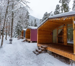Двухместное шале Classic с красивым видом из окна двуспальная кровать в Forest house resort