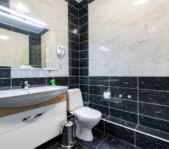 «Люкс 2» Высшей категории в Mano