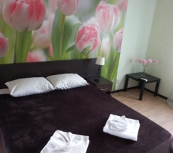 Люкс с красивым видом из окна в Комфорт, гостиница