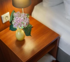 Одноместный номер Economy в Hotel Kronprinz Hamburg