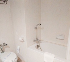 Одноместный полулюкс в Diamond Plaza Hotel Suratthani