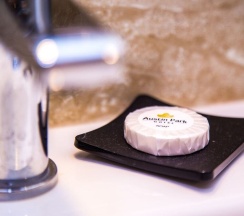 Четырёхместный номер Deluxe в Austin Park Hotel