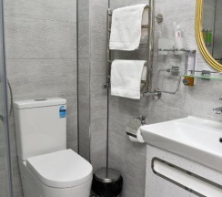 Трёхместный номер Superior в Human hotel