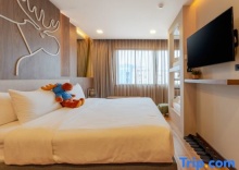 Семейный номер Deluxe в Moose Hotel Chiangmai