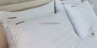 Сириус: Апартаменты Апартаменты на Таврическая, 7 к4 (Эдит), 45м²