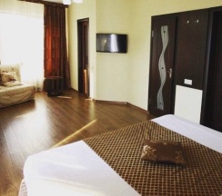 Двухместный номер Standard с балконом и с красивым видом из окна двуспальная кровать в Мечта