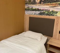 2-местный номер стандарт (без окна) в Holiday hotel