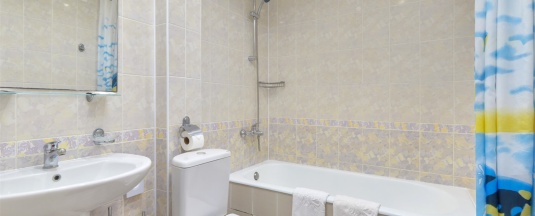 Стандарт двухкомнатный двухместный  Кедровый корпус в Тетьково