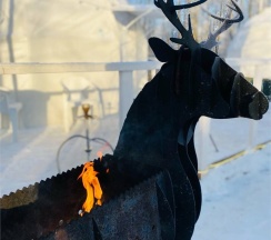 Сфера с балконом и камином в Клевер