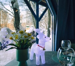 Королевский Типи Звездное небо в Вазуза Лав