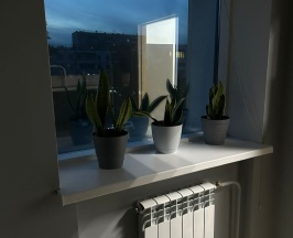 6 местный в Квартирант