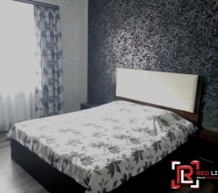 Двухместный номер Standard двуспальная кровать в Red line