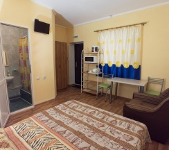 Номер стандарт улучшенный с 1 односпальной кроватью в Лайнер