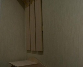 Трехместный номер в Солнечная