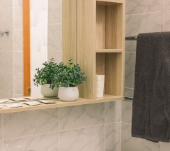 "ЛЮКС" Семейный, 2х-комн. (№10) в Новый континент