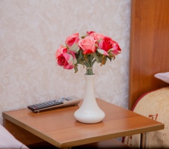 Стандартный двухместный номер в Пингвин