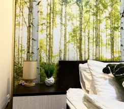 2-местный номер стандарт эконом (без окна) в Дисней