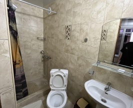 Трехместный номер Бизнес в Sochi