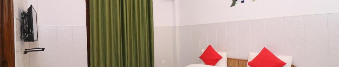 Двухместный номер Classic двуспальная кровать в OYO 14185 Laxmi Yellow Guest House